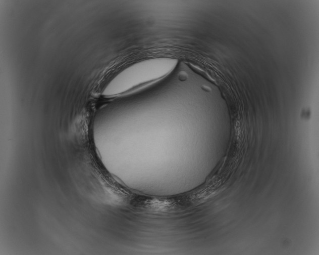 X0000088870570200706291543