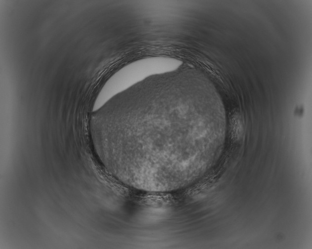 X0000088870571200706291543