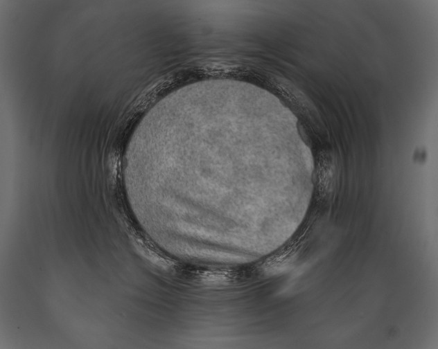 X0000088870574200706291543