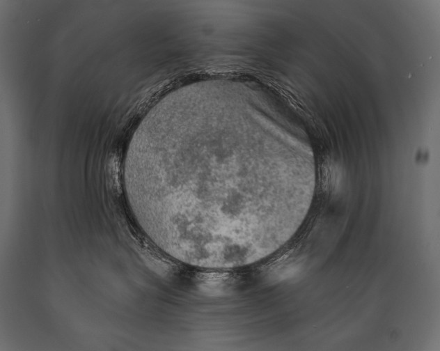 X0000088870575200706291543