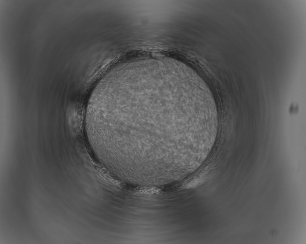X0000088870576200706291543