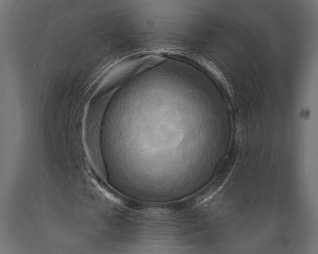 X0000088870577200706291542