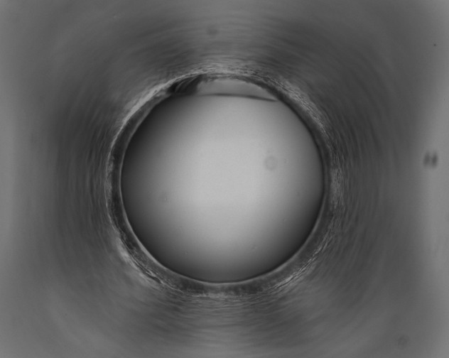 X0000088870580200706291542