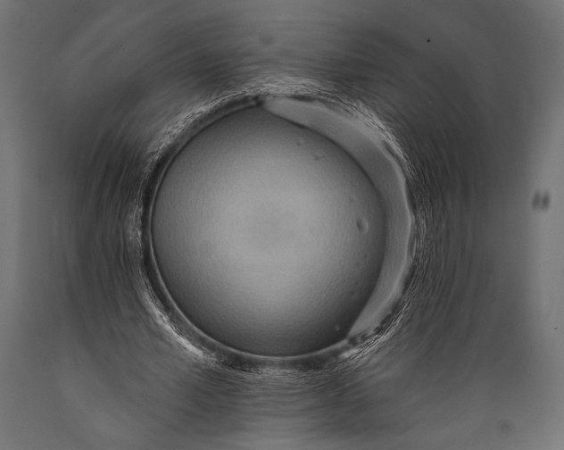 X0000088870581200706291542