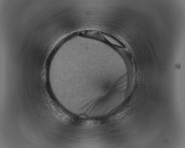 X0000088870584200706291542