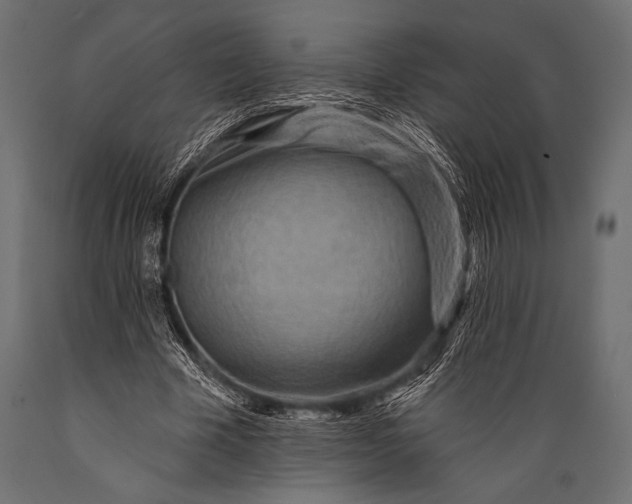 X0000088870585200706291542