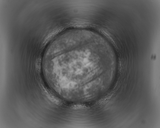 X0000088870586200706291542