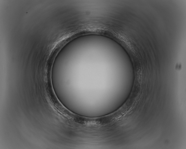 X0000088870587200706291542