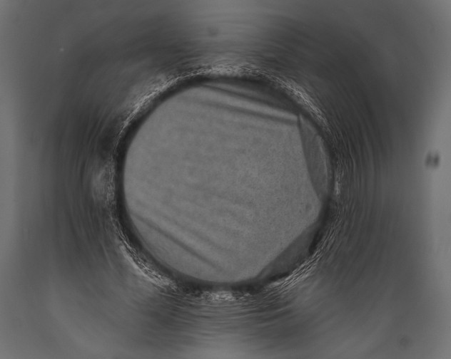 X0000088870588200706291542