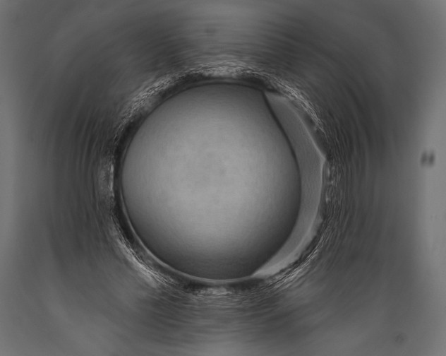 X0000088870589200706291542