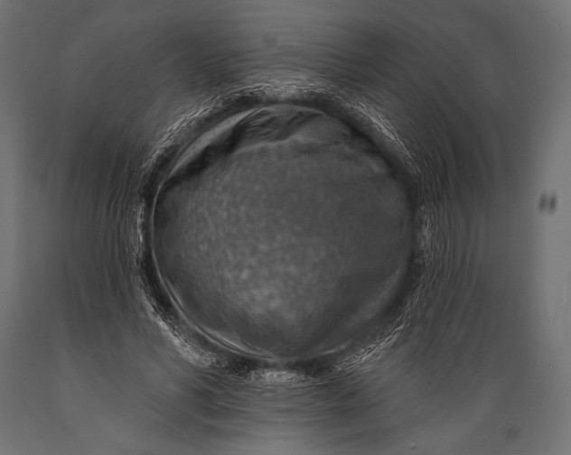 X0000088870590200706291542