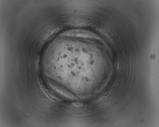 X0000088870591200706291542