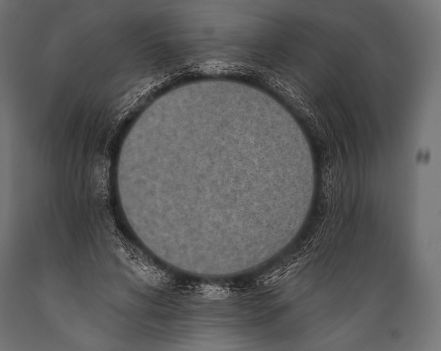 X0000088870592200706291542