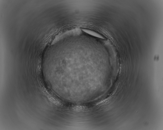 X0000088870593200706291542