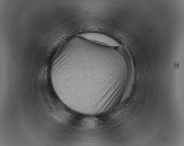 X0000088870595200706291542