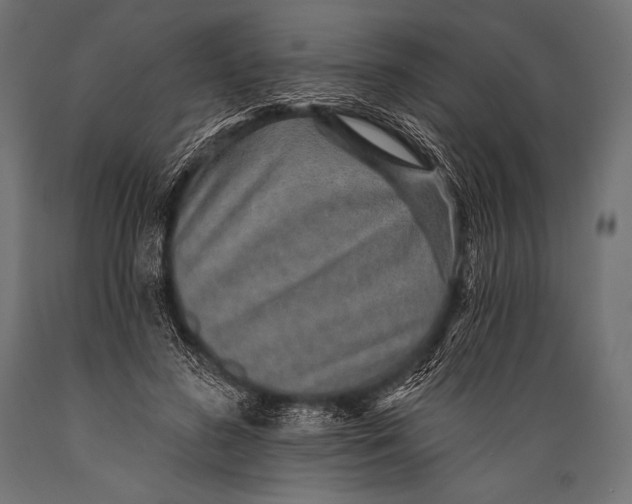 X0000088870596200706291542