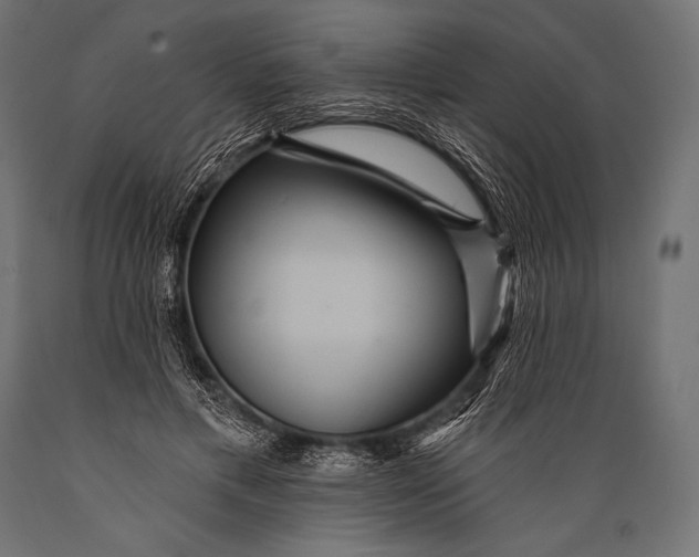 X0000088870597200706291542