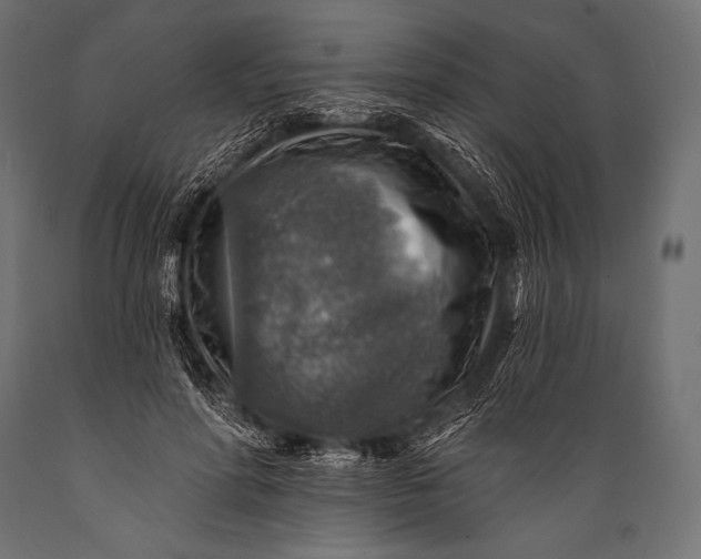 X0000088870598200706291542