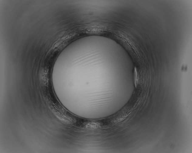 X0000088870599200706291542