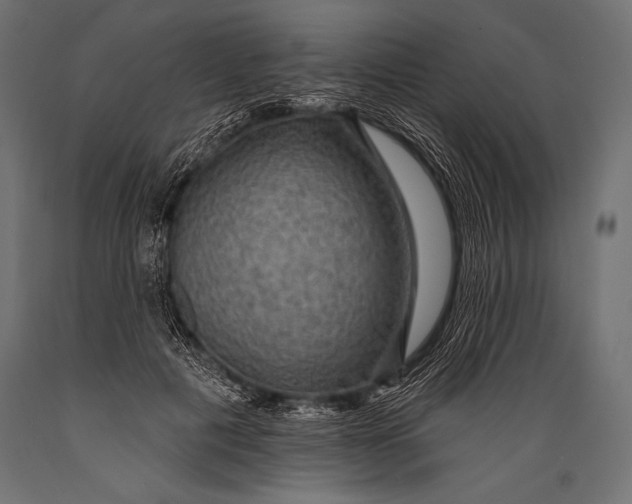 X0000088870601200706291542