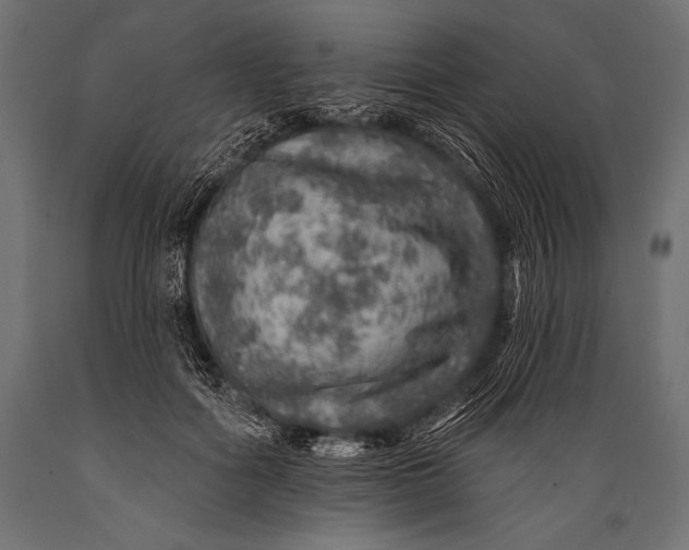X0000088870602200706291542