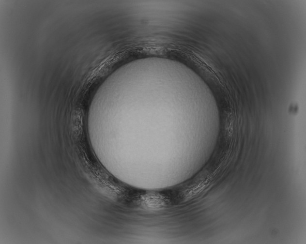 X0000088870603200706291542