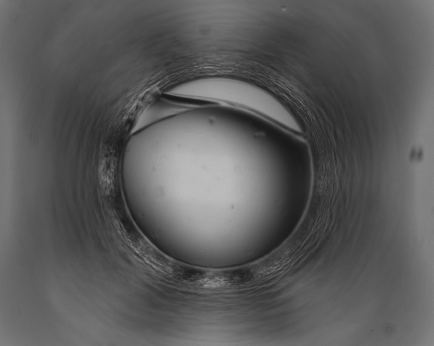 X0000088870604200706291542