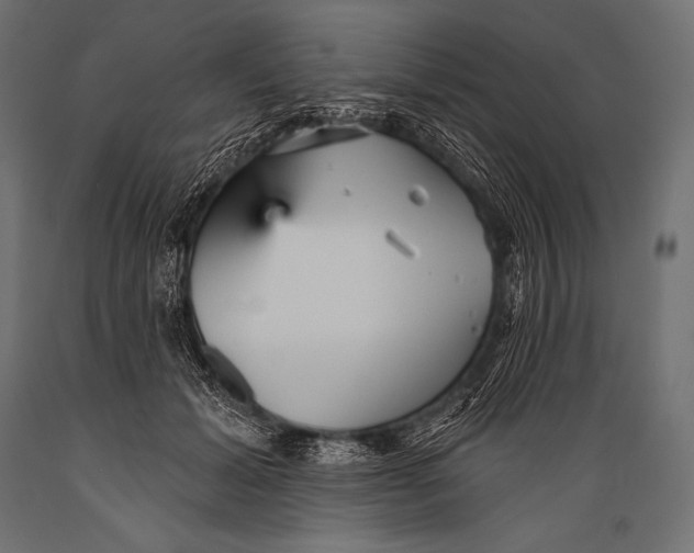 X0000088870605200706291542