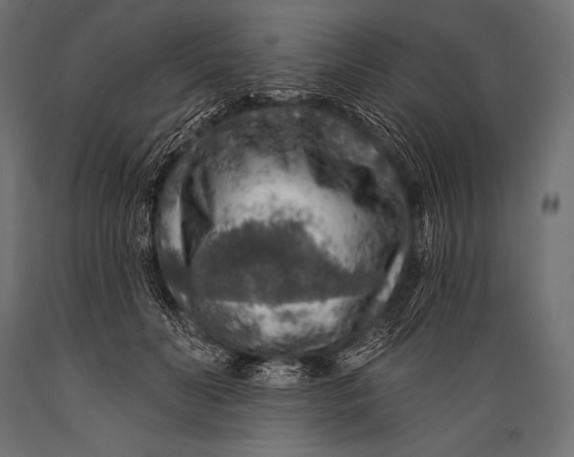 X0000088870606200706291542