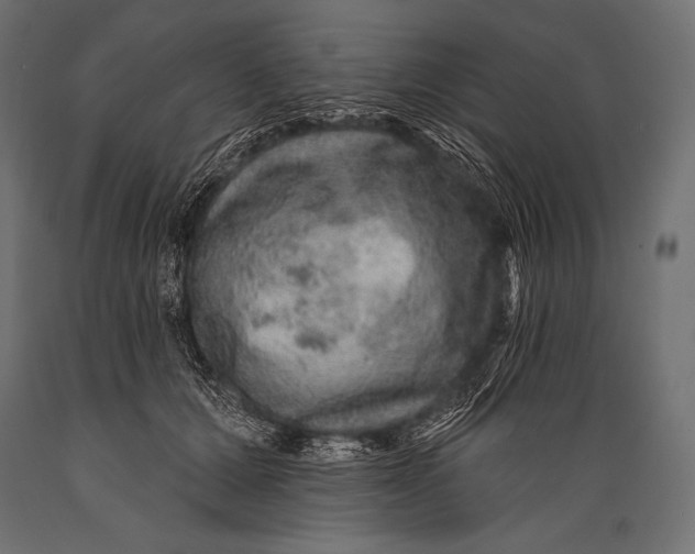 X0000088870607200706291542