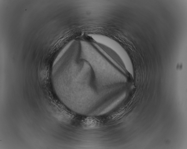 X0000088870608200706291542