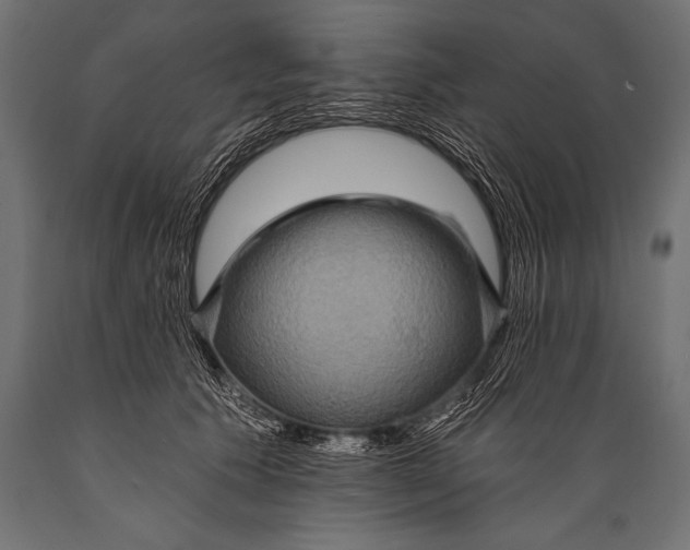 X0000088870609200706291542