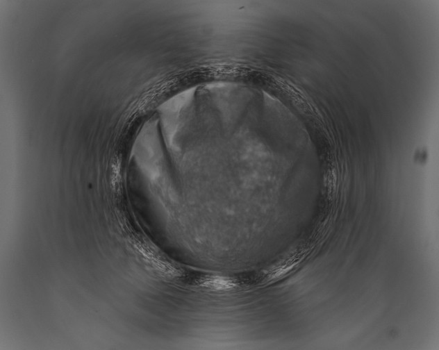 X0000088870610200706291542
