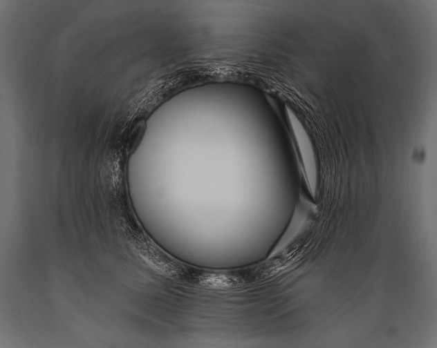 X0000088870611200706291542