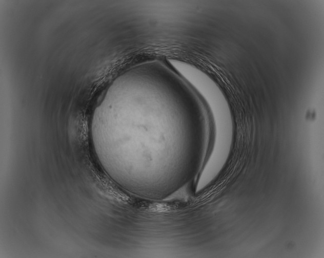 X0000088870613200706291542
