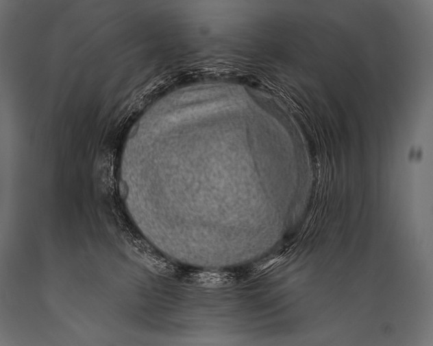 X0000088870615200706291542