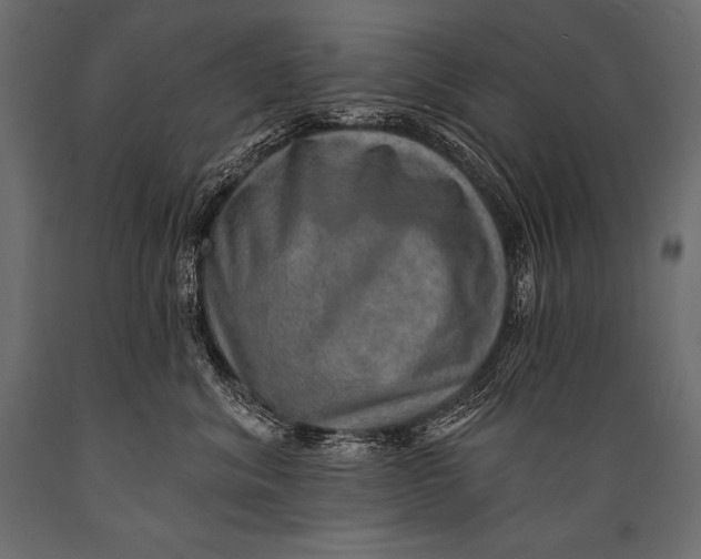 X0000088870620200706291542