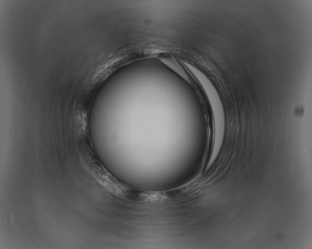 X0000088870621200706291542