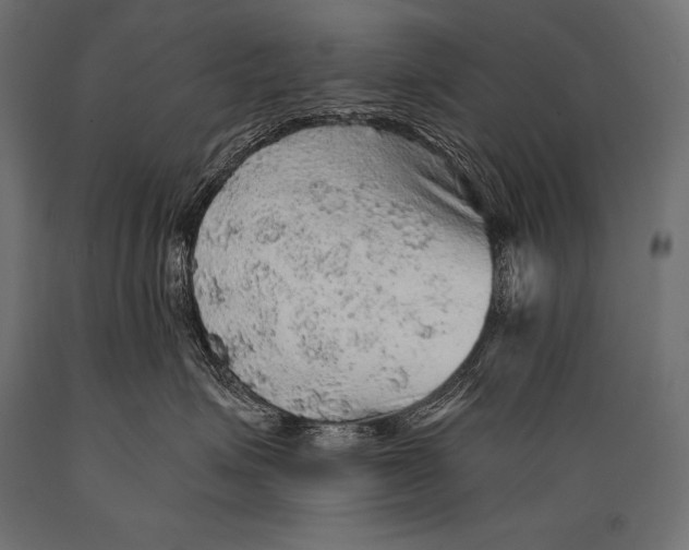 X0000088870623200706291542