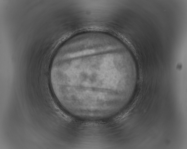 X0000088870625200706291541