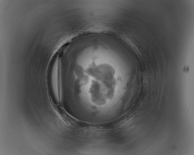 X0000088870626200706291541