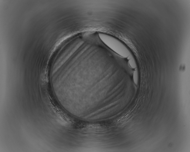 X0000088870628200706291541