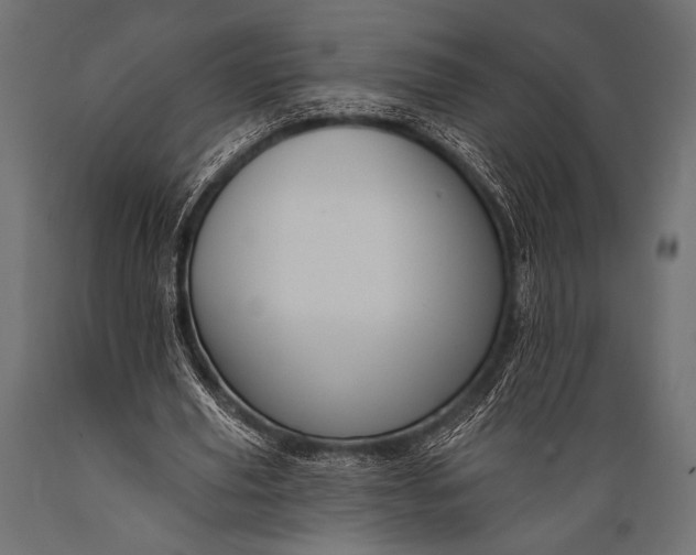 X0000088870629200706291541