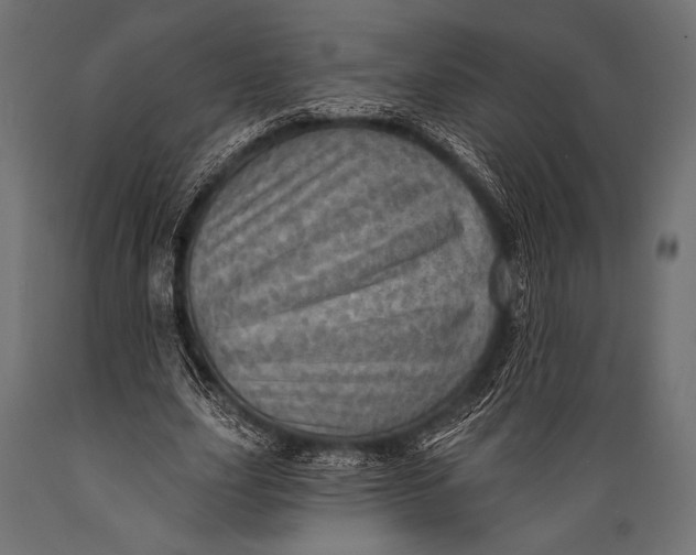 X0000088870631200706291541