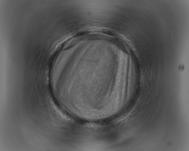 X0000088870633200706291541