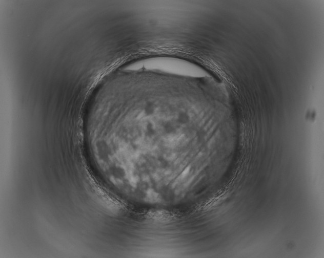 X0000088870634200706291541