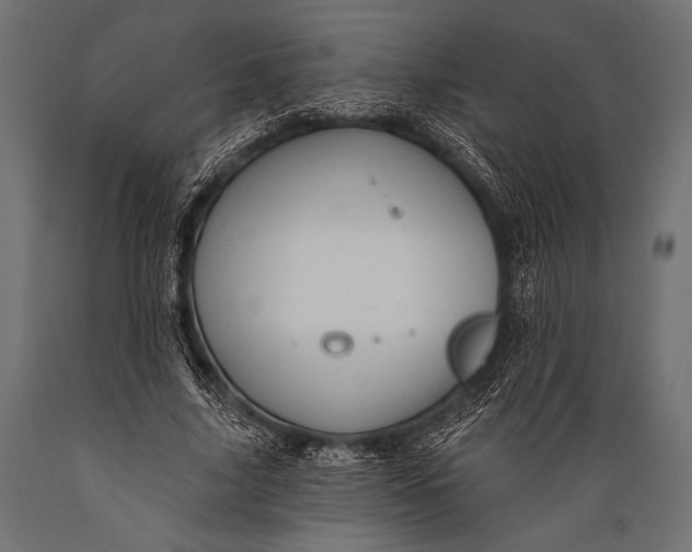 X0000088870635200706291541