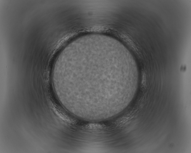 X0000088870636200706291541