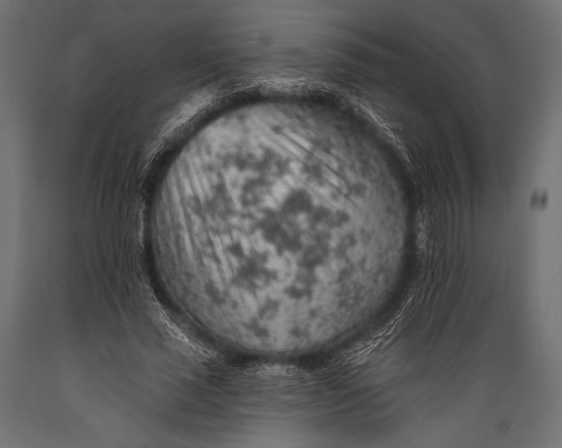 X0000088870637200706291541