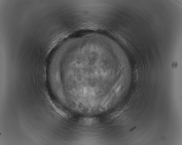 X0000088870638200706291541